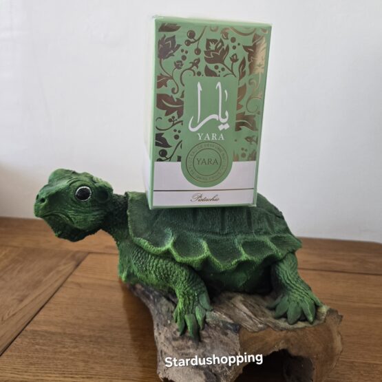 1000031366 1000031366