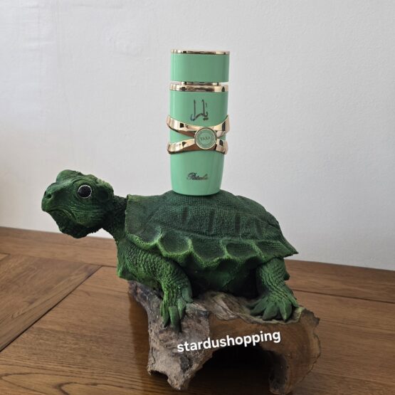 1000031367 (1) 1000031367 (1)